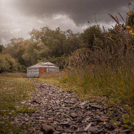 فندق Gilfach Gower Farm Luxury Yurt With Hot Tub أمّانفورد المظهر الخارجي الصورة