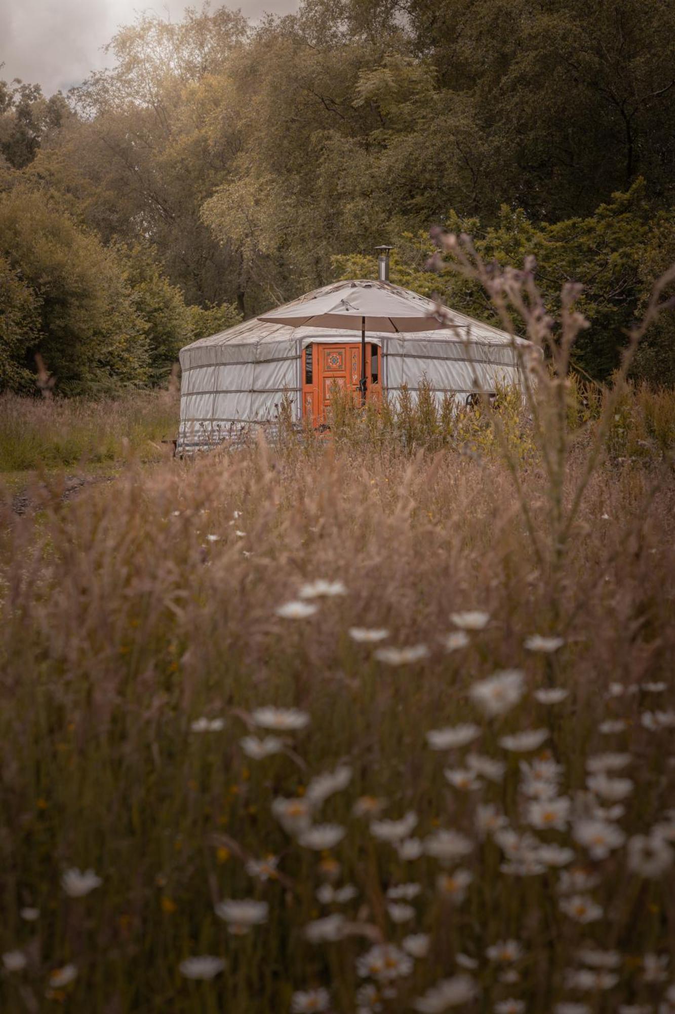 فندق Gilfach Gower Farm Luxury Yurt With Hot Tub أمّانفورد المظهر الخارجي الصورة